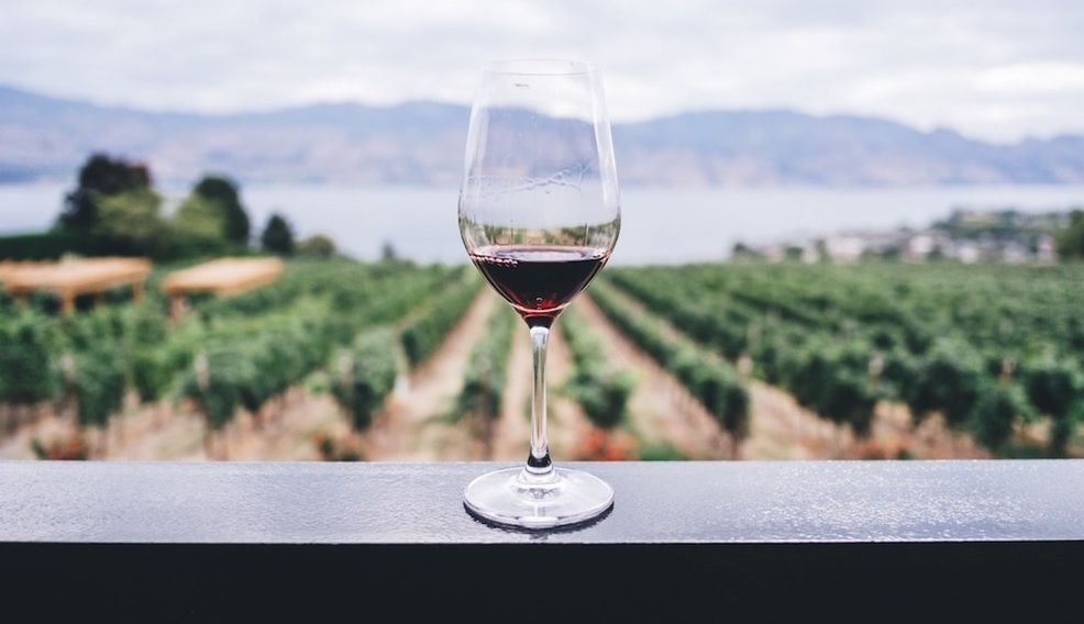 The best places in New Zealand for a wine tour