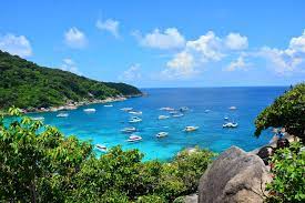 Are You Looking Forward to Going on a Diving Trip in Similan Islands? You Should Read This