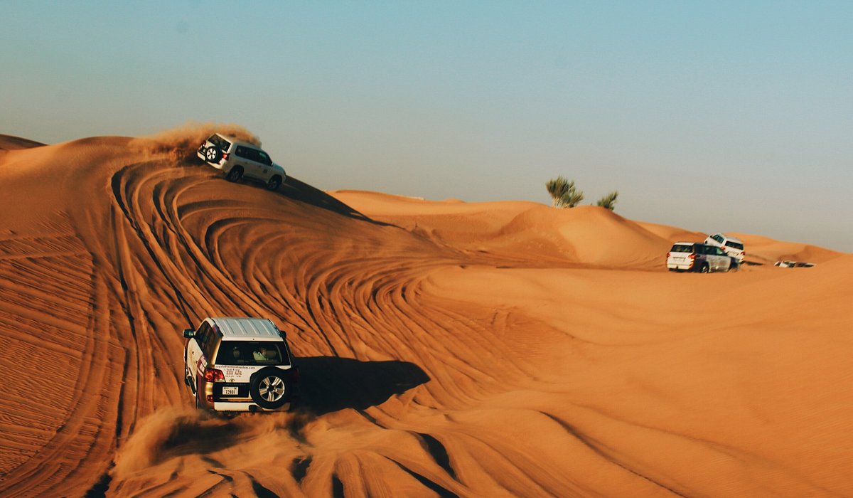 Useful Advice for Selecting the Perfect Dubai Desert Safari Tour