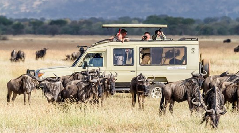 Supporting Wildlife Preservation on Serengeti Safaris: